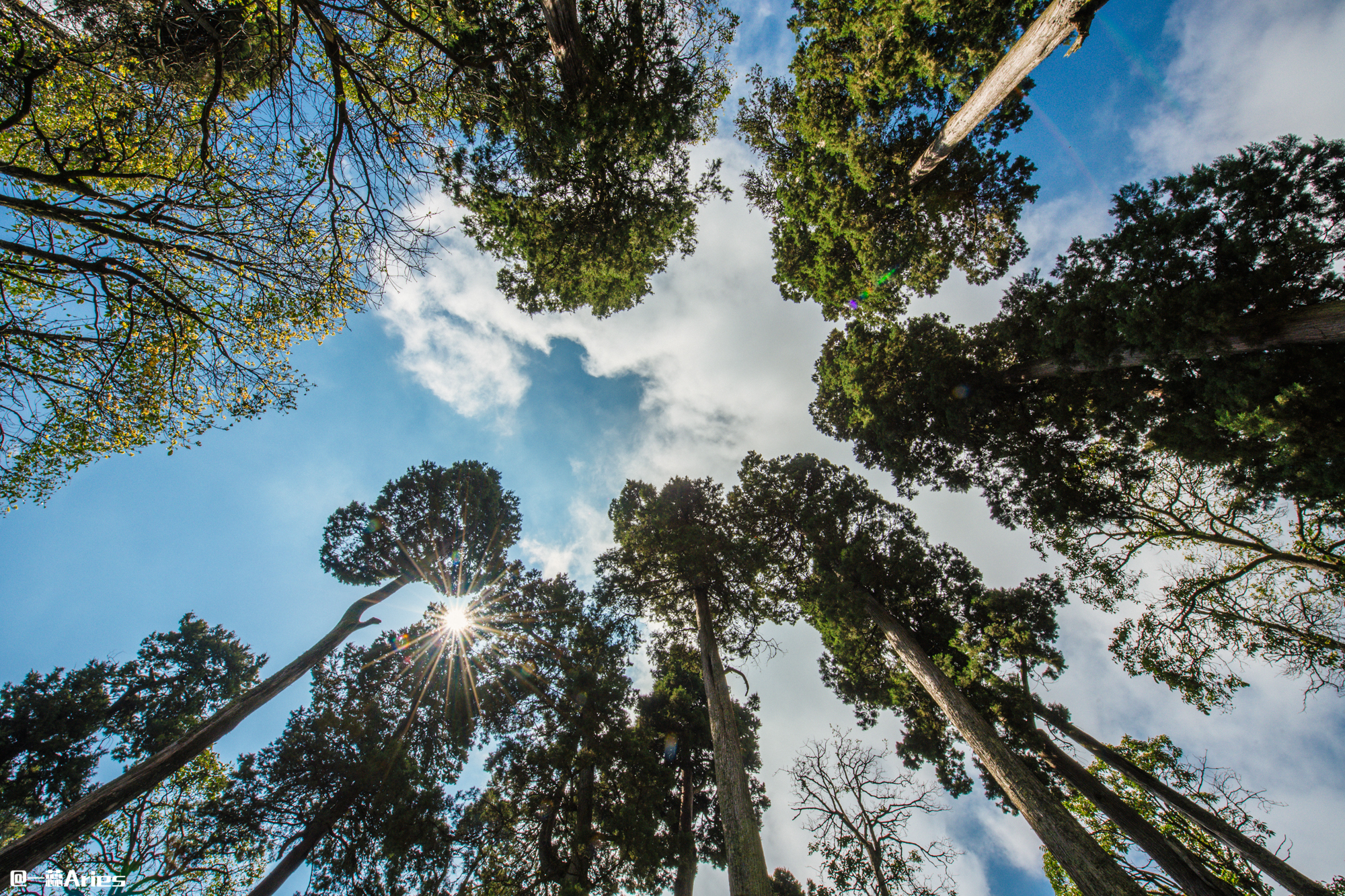 大理环洱海自驾游最佳攻略,大理环海岸线自驾游