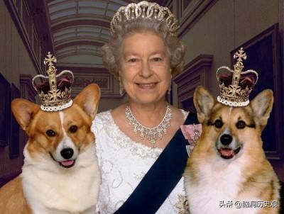 世界上唯一不让日本人进入的国家,世界上有哪些国家不愿意加入北约