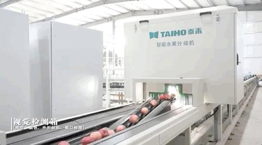 中科大博士带头搬砖！这家上市公司其实是最隐秘的AI高手