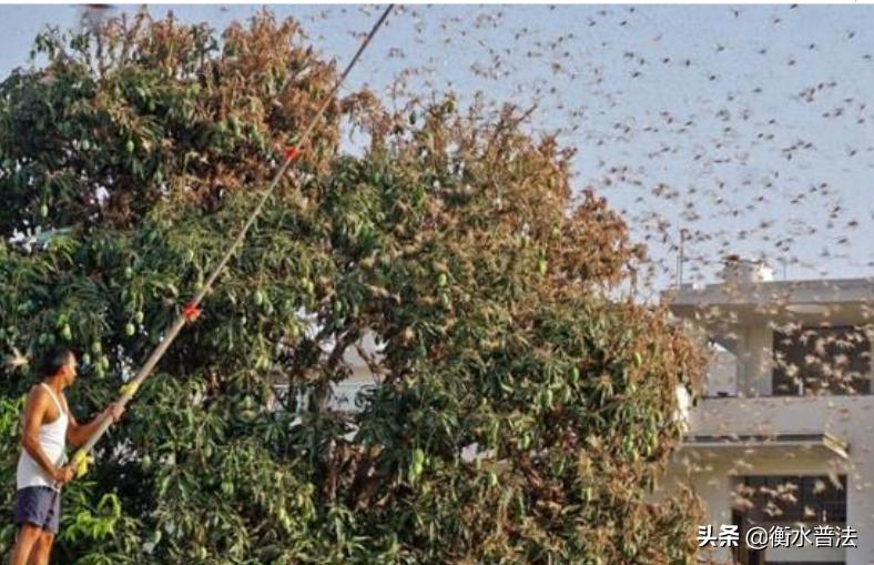 法治热点早知道视频,法治热点早知道问题