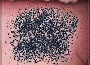 小茂医生美白护肤品,小茂教你如何护肤