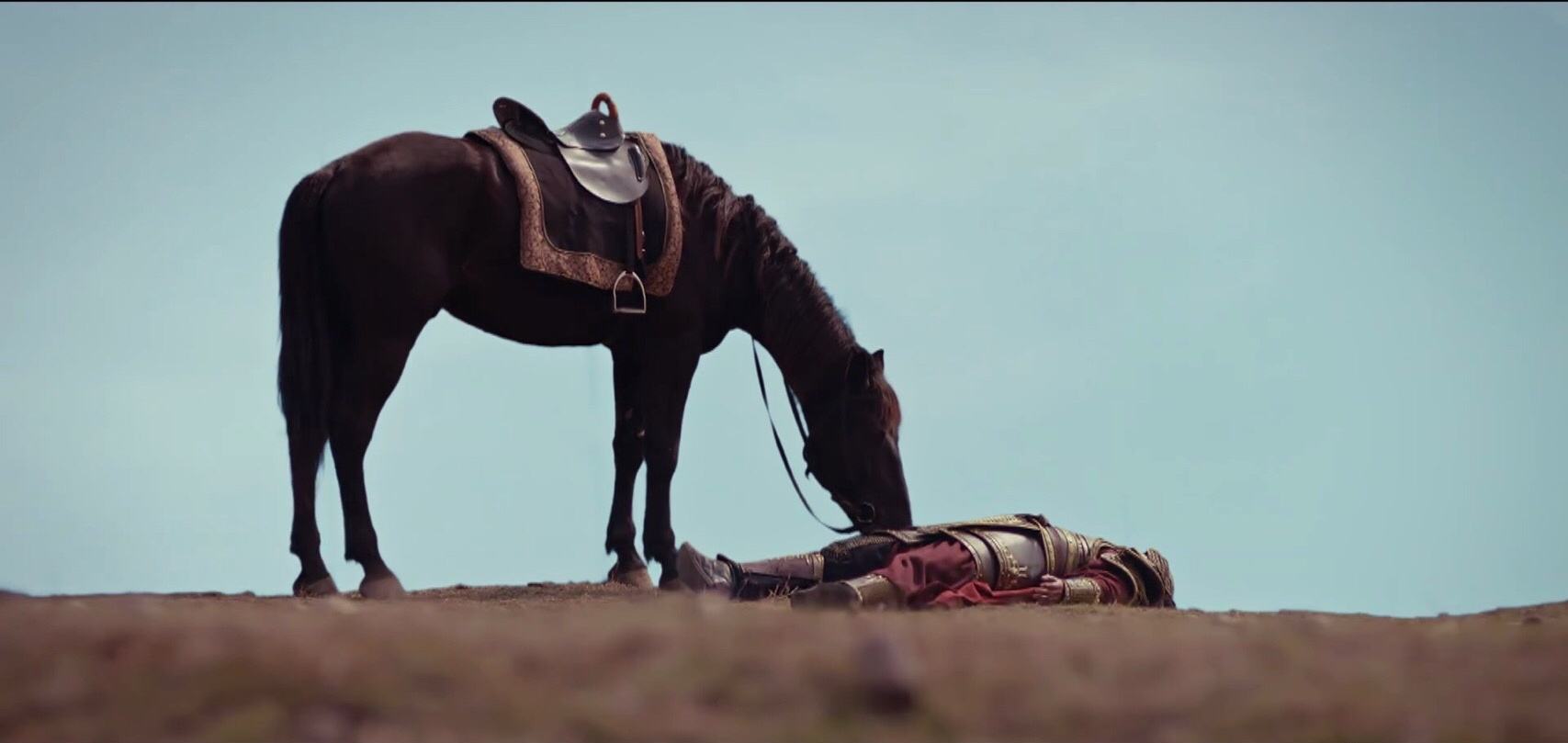 各路冠军金腰带一来就输！这个赛事有点诡异