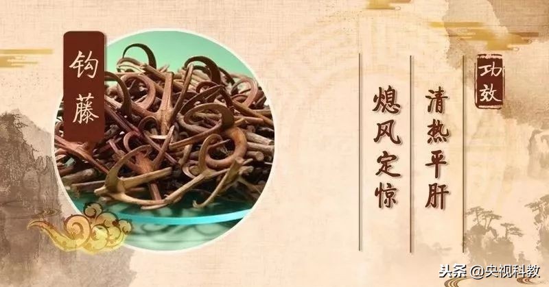 通经络的植物有哪些,绿植哪些有药用价值