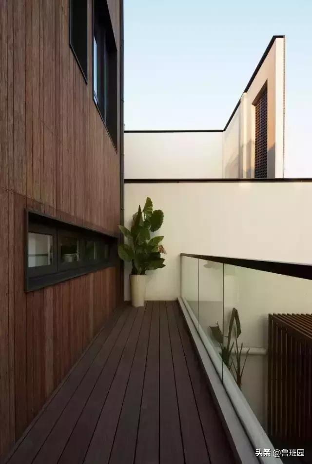 竹子怎么变异成龟甲竹,看竹子挖笋技巧