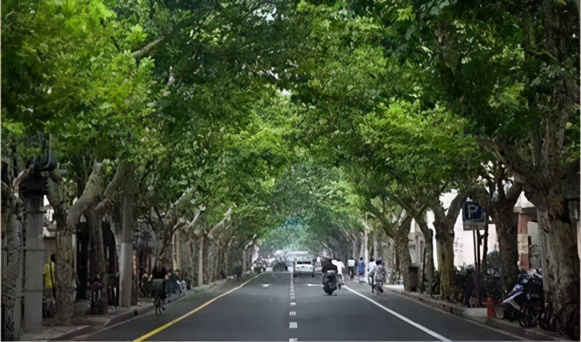 八月合肥必去的13个免费景点,合肥旅游免费景区推荐