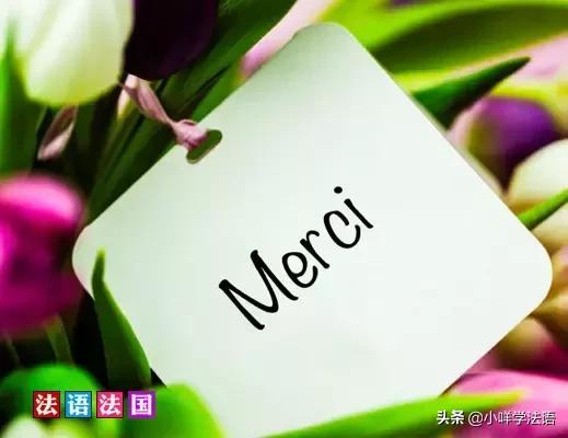 法语聊天常用语大全,法语零基础入门学习日常用语