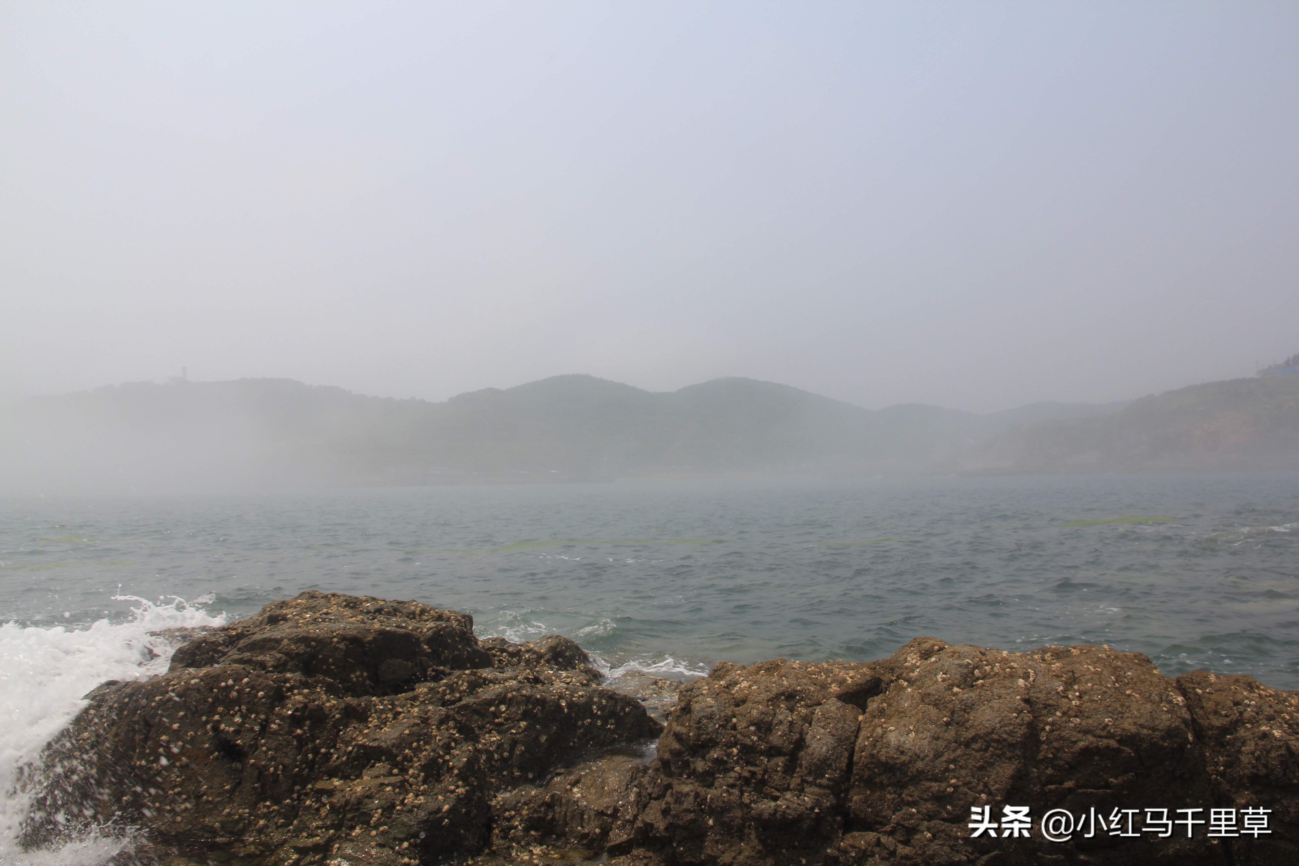 好客山东青岛旅游攻略,好客山东浪漫青岛