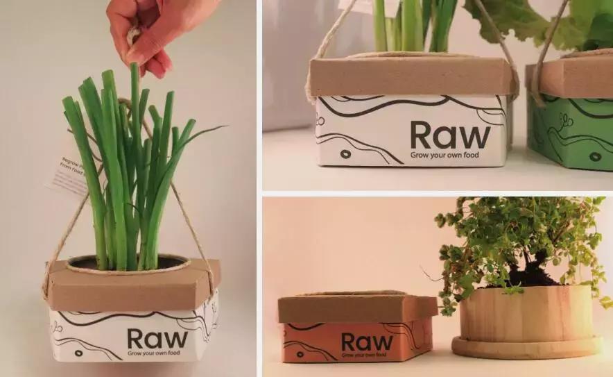 对于可持续发展的个人见解,可持续发展是否真的可持续