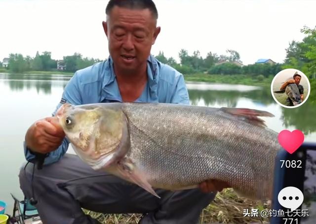 断线跑鱼好不好,李大毛野钓比赛视频