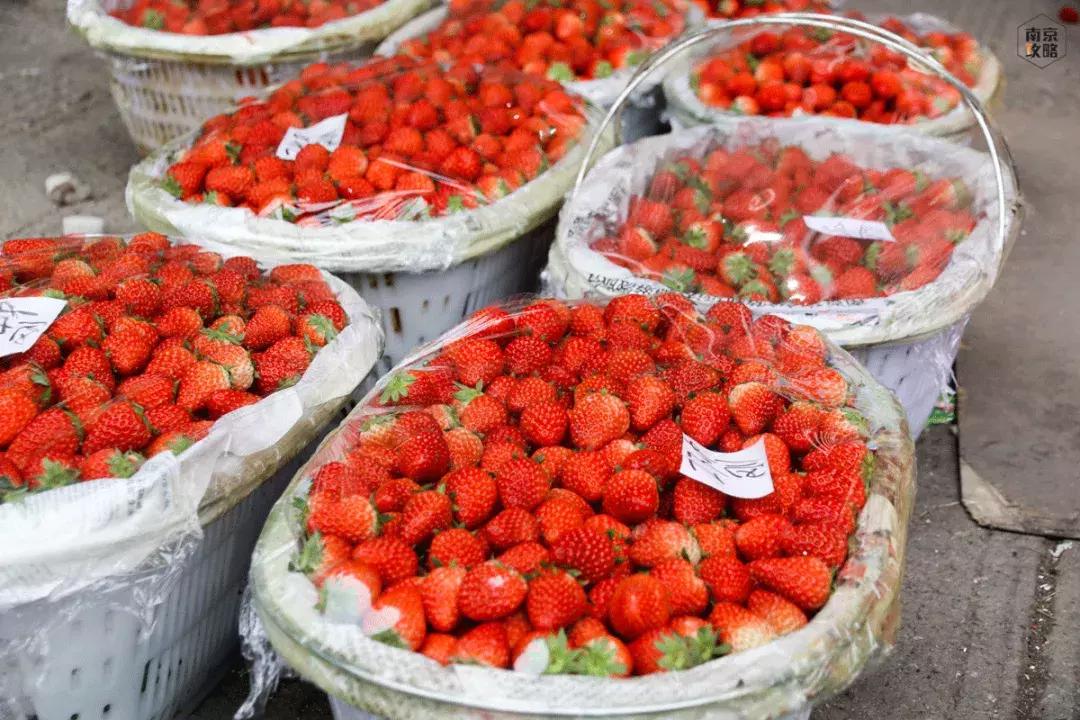 众彩物流公司年货,众彩物流年货大集