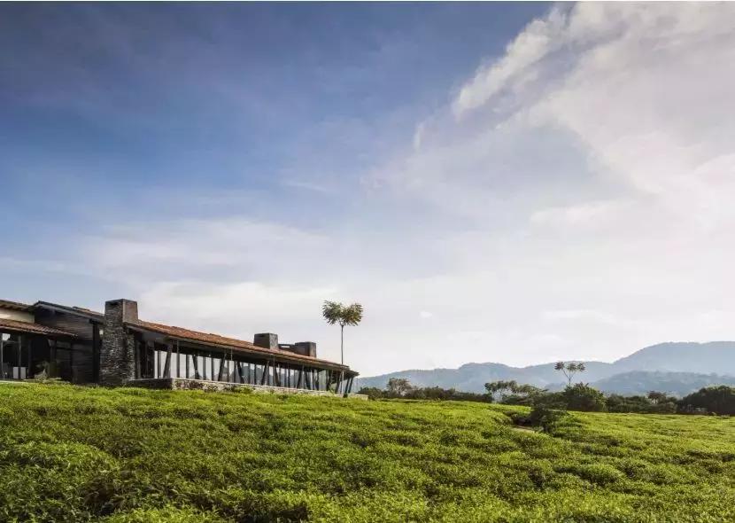 西安有直飞加拿大航线,西安直飞免签海岛