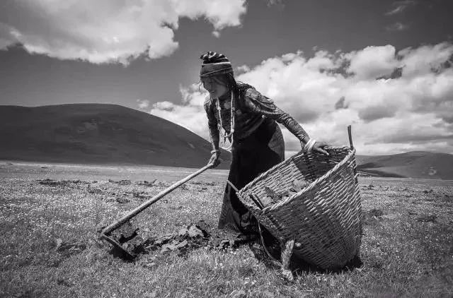 玛吉阿玛和仓央嘉措有什么关系,玛吉阿米的死与仓央嘉措