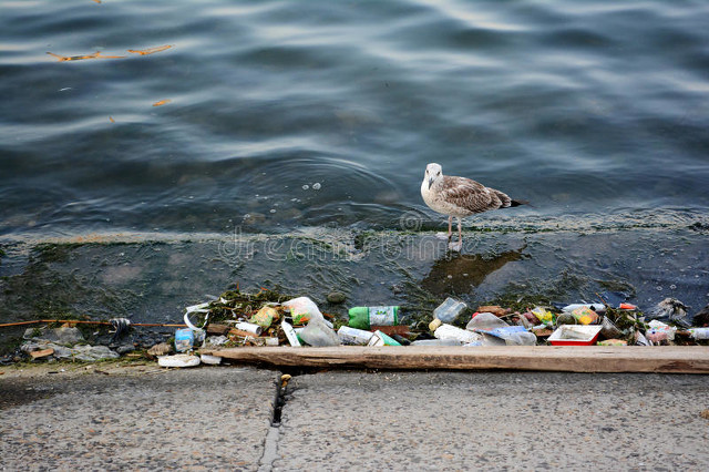 家乡的环境说明文,家乡的环境300字