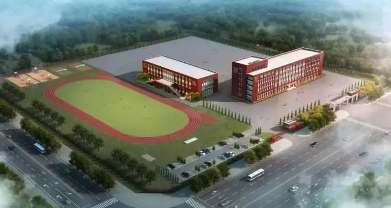 新区好学校,新区好的小学