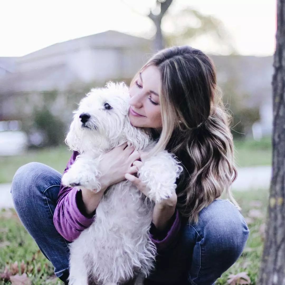 如何在日常生活中判断狗狗的健康,怎么从外表判断狗狗的健康情况