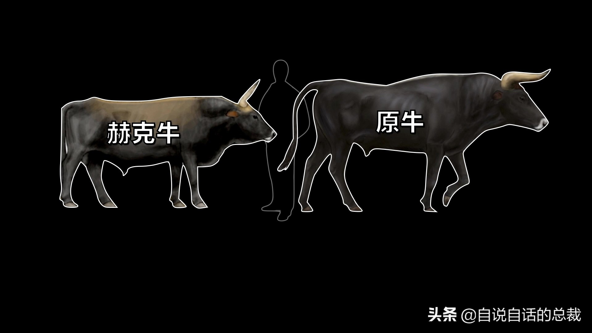 阿努纳奇创造人类7次文明,阿努纳奇人类起源