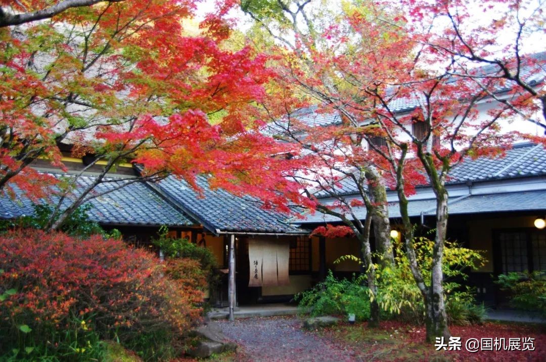 日本有哪些难以替代的工业技术,日本产业核心技术