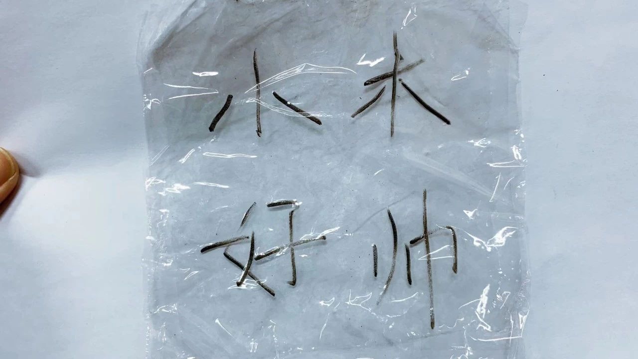 ppt我们应该如何做,ppt技巧揭秘这些功能您用过吗