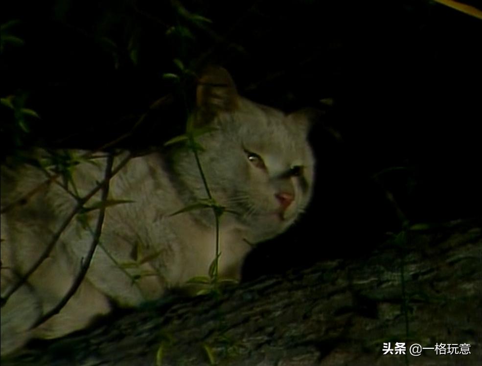 细扒深扒红楼梦首饰第三集,红楼梦87版首饰都有哪些