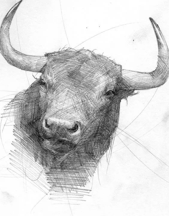 绱犳弿鍏ラ棬鍔ㄧ墿,绱犳弿鍔ㄧ墿瑙ｆ瀽