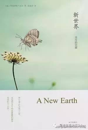 书单推荐100本书,五本值得一看的好书籍推荐