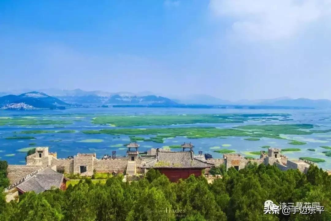 带着你的胃，寻找东平味儿