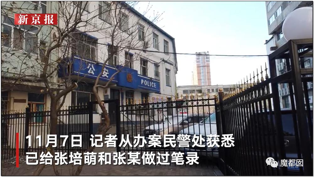 短跑名将张培萌家暴事件,短跑名将张培萌被控家暴
