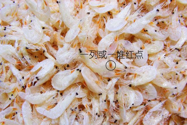 硬壳罗氏虾和软壳罗氏虾的区别,罗氏虾鳌虾甜虾有什么不同