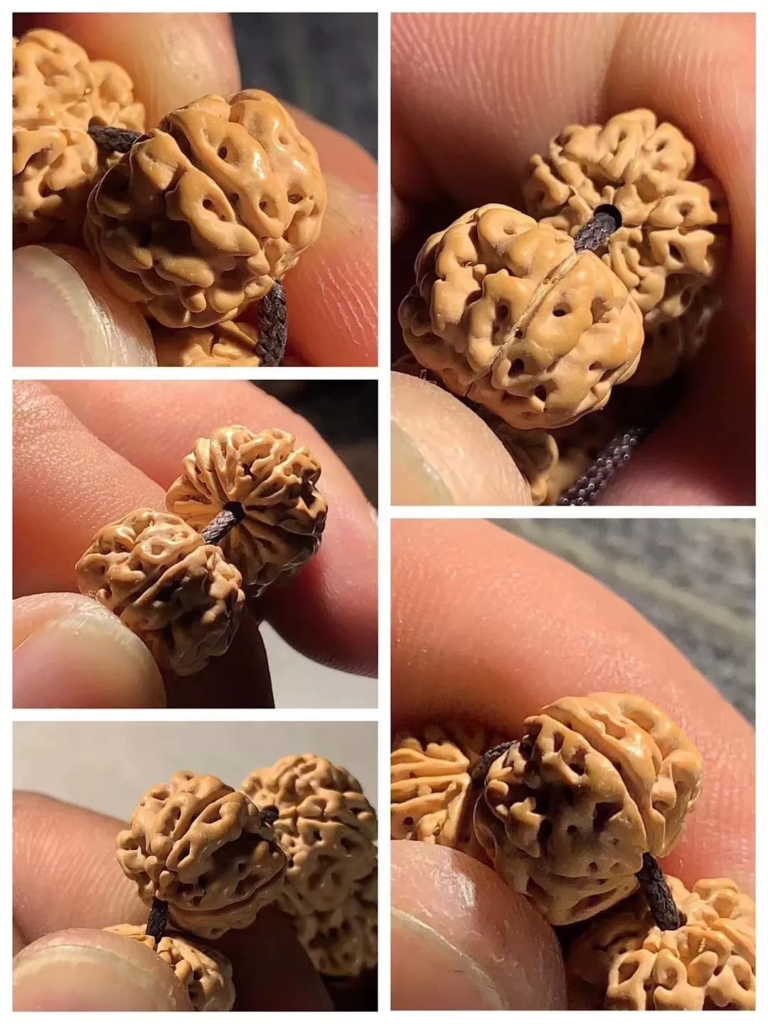 小金刚菩提子各种纹路图片,小金刚菩提的纹路有哪些