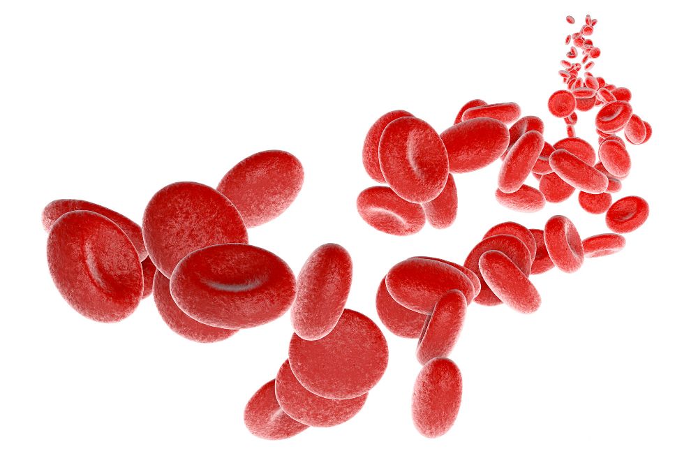 助孕营养菜谱,孕期营养补充剂推荐