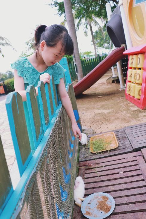 惠州大亚湾黄金海岸有岛吗,惠州金海湾海边在哪里