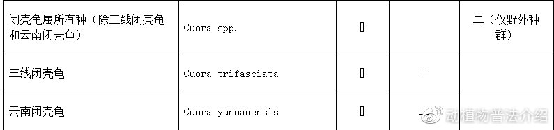 匠志萌宠乐园教学,匠志萌宠