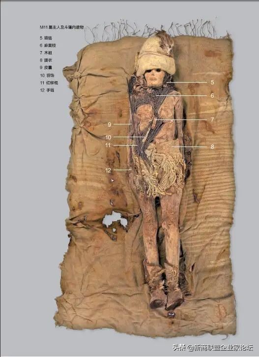 小河文明和楼兰罗布泊详解,小河墓地是在罗布泊吗