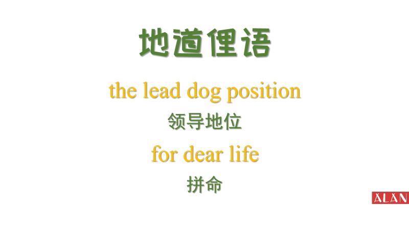 whether的用法,whether的用法详解