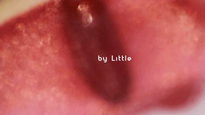 秋冬口红色号卡姿兰,透真口红推荐色号