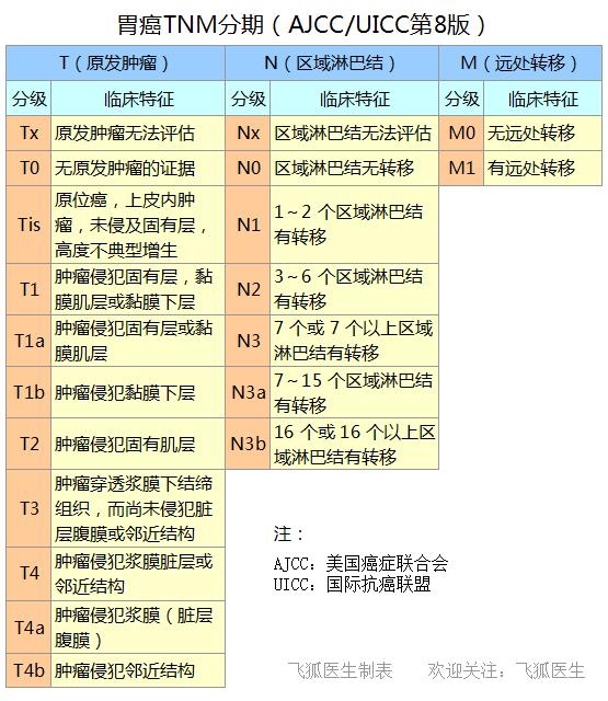 什么是胃癌？病因分期与治疗？3重点预防筛查，早手术预后好