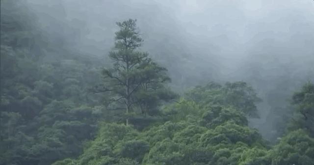 成都出发1.5h，藏在青城后山网红轻奢度假民宿，丨桐去隐泉