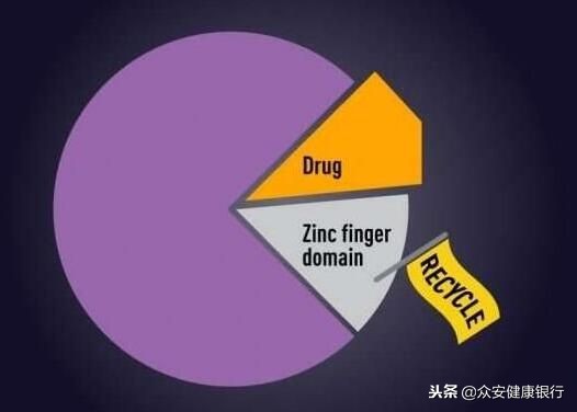 重磅级文章解读古老药物的新用途！
