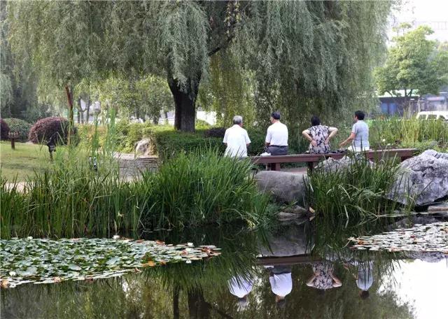 南京人少景美的免费公园,太全了全国旅游简图