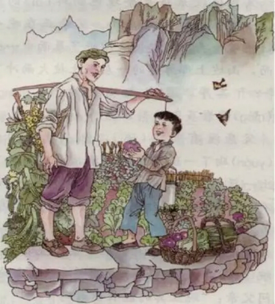 舌尖上的中国百年相传美食,舌尖上的中国美食教材书