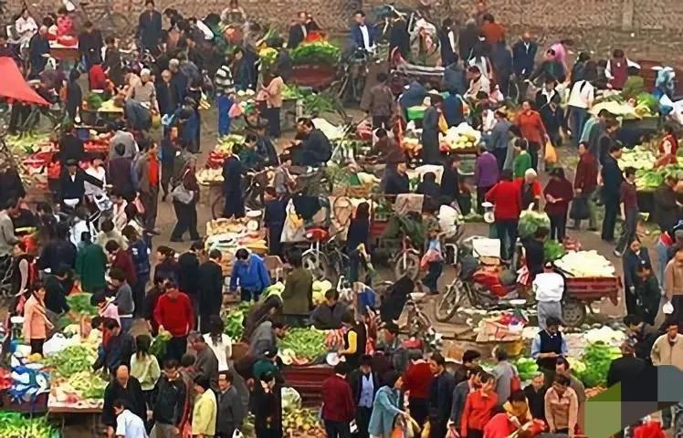 农村利润惊人的10个冷门创业项目,赶集卖什么利润高又好卖