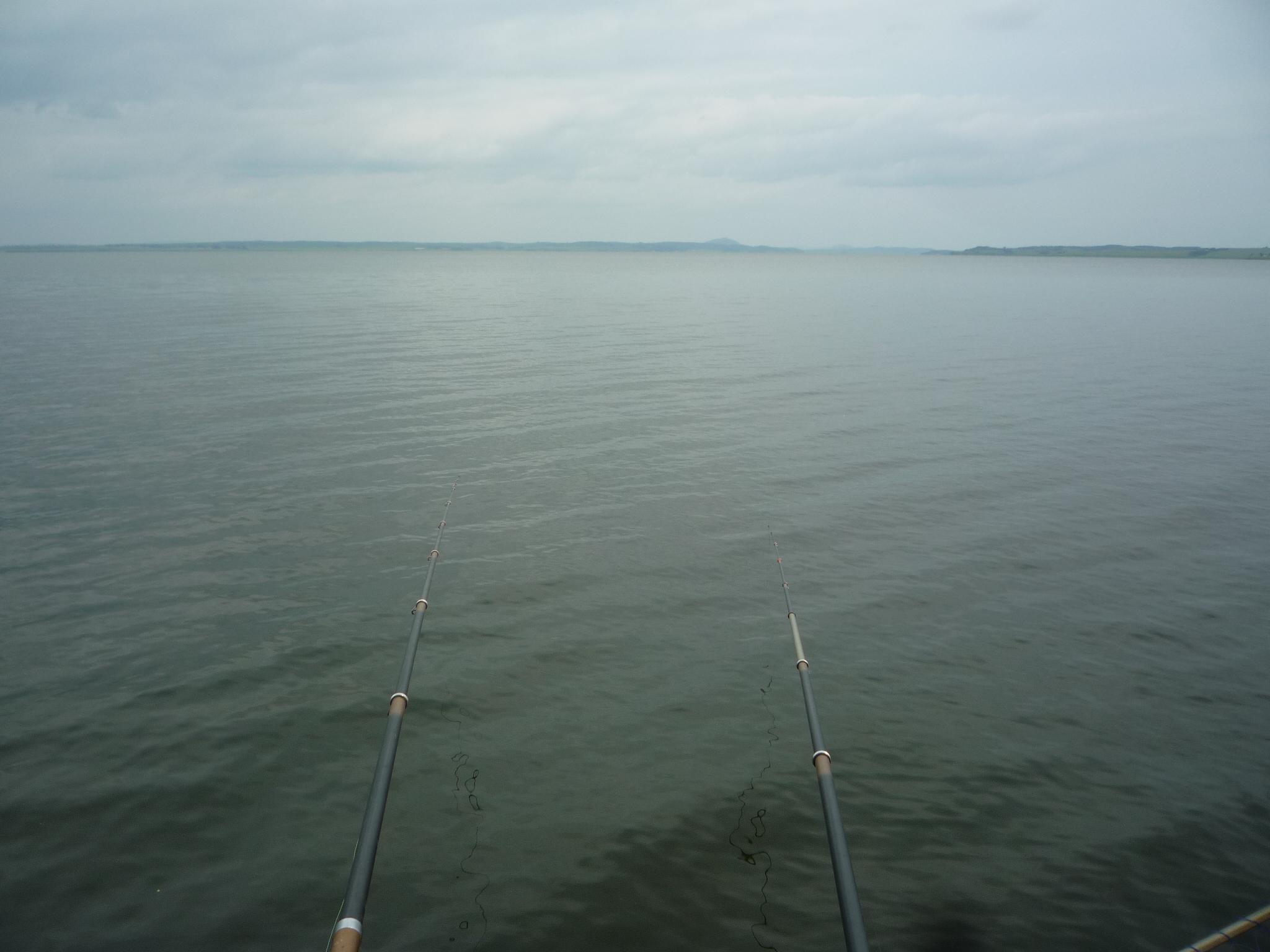 换竿钓鱼操作,台钓如何换竿稍