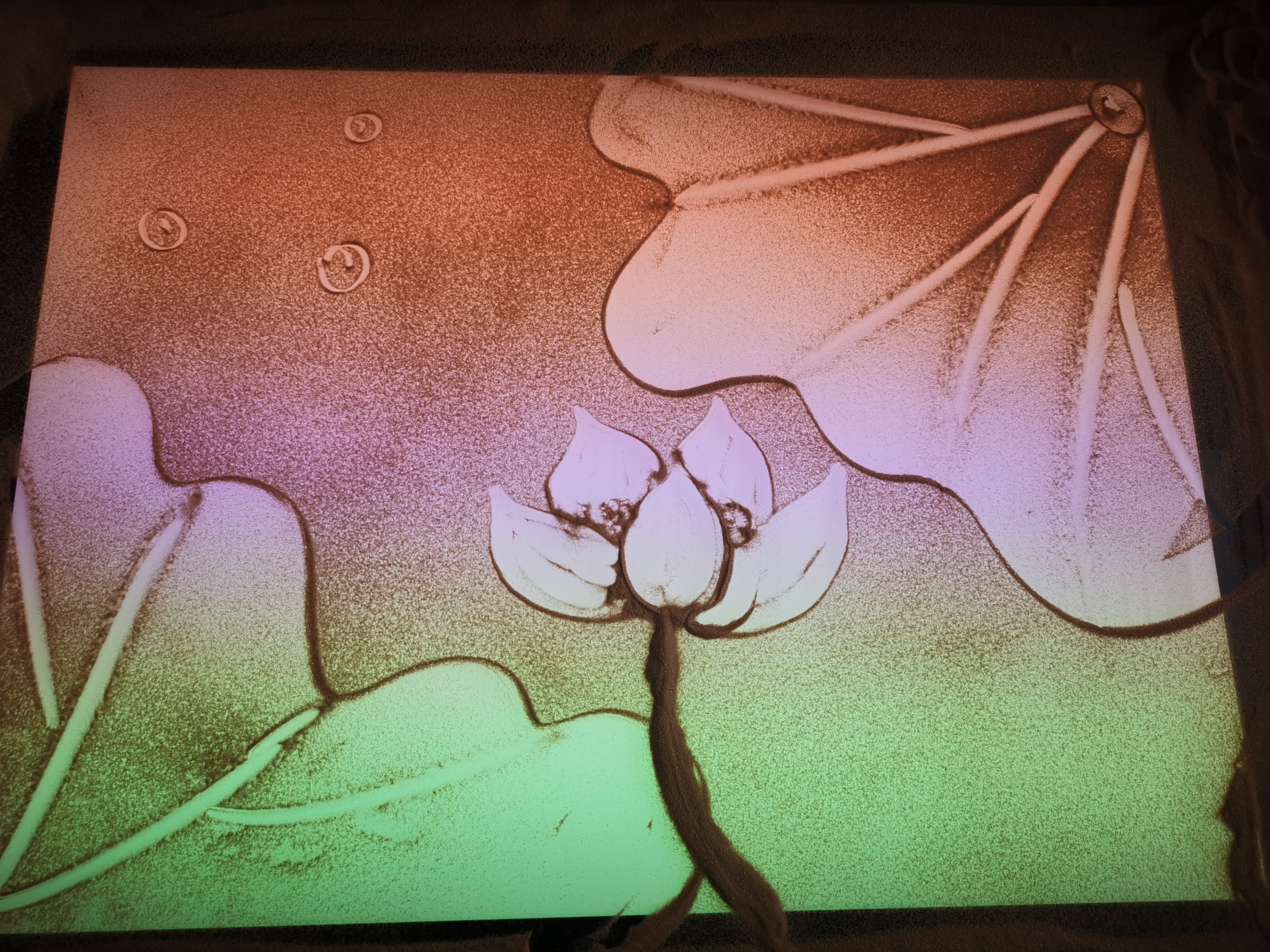 感念师恩教师演讲稿,感念师恩礼敬教师