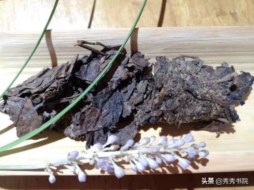 闀垮畨闆呭＋,闀垮畨闆呭＋瀹屾暣瑙嗛