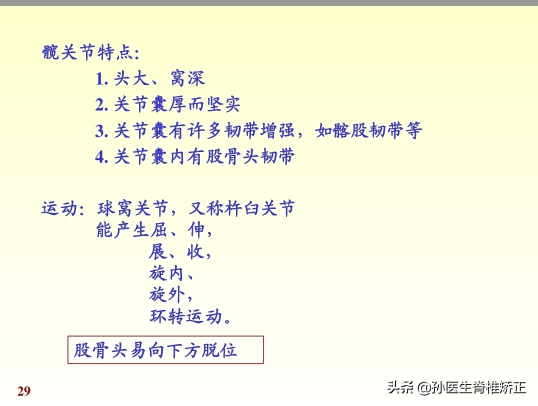 人体解剖学课件ppt,人体解剖学关节学