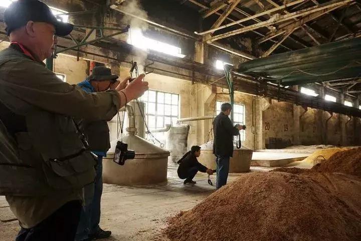 河南杜康酒业官网,豫酒振兴宝丰酒厂