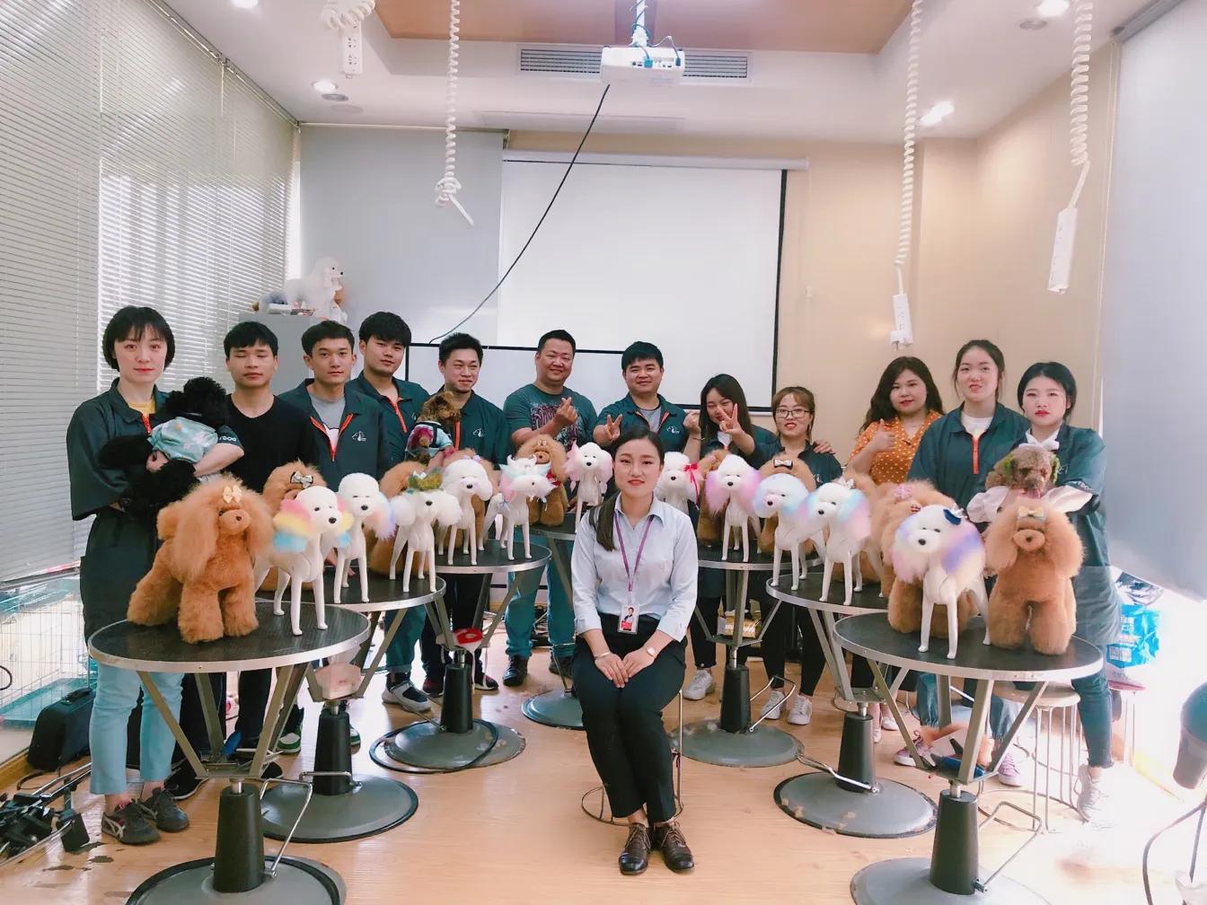 带你了解宠物医院,宠物医疗行业发展前景