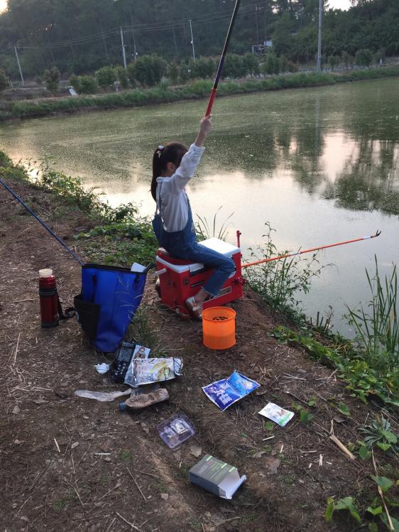 汀粉二代出征，神鹤轻强硬喜获佳绩