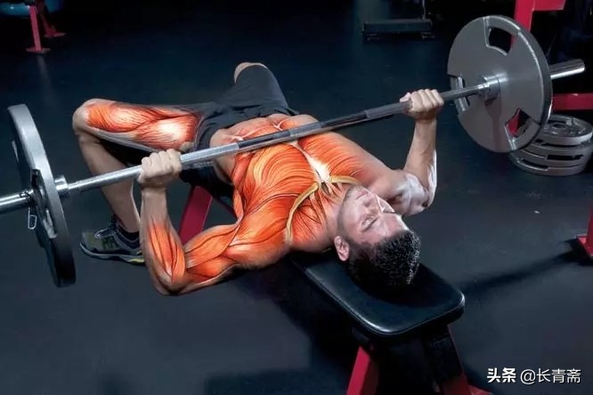 撸铁身体特别痛,长期撸铁的危害