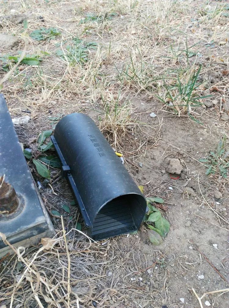 老景说事儿「小区投了老鼠药？家家户户要知道！」